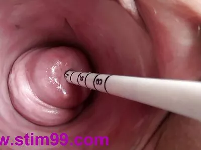 ग्रेट क्लोज अप डिक चोखण्याची क्रिया