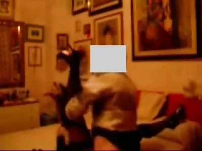 अॅनेटा आणि एलेस